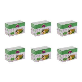  زنجبیل و چای سبز تسنیم طلایی - مجموعه 6 عددی6333e61aa4be234470